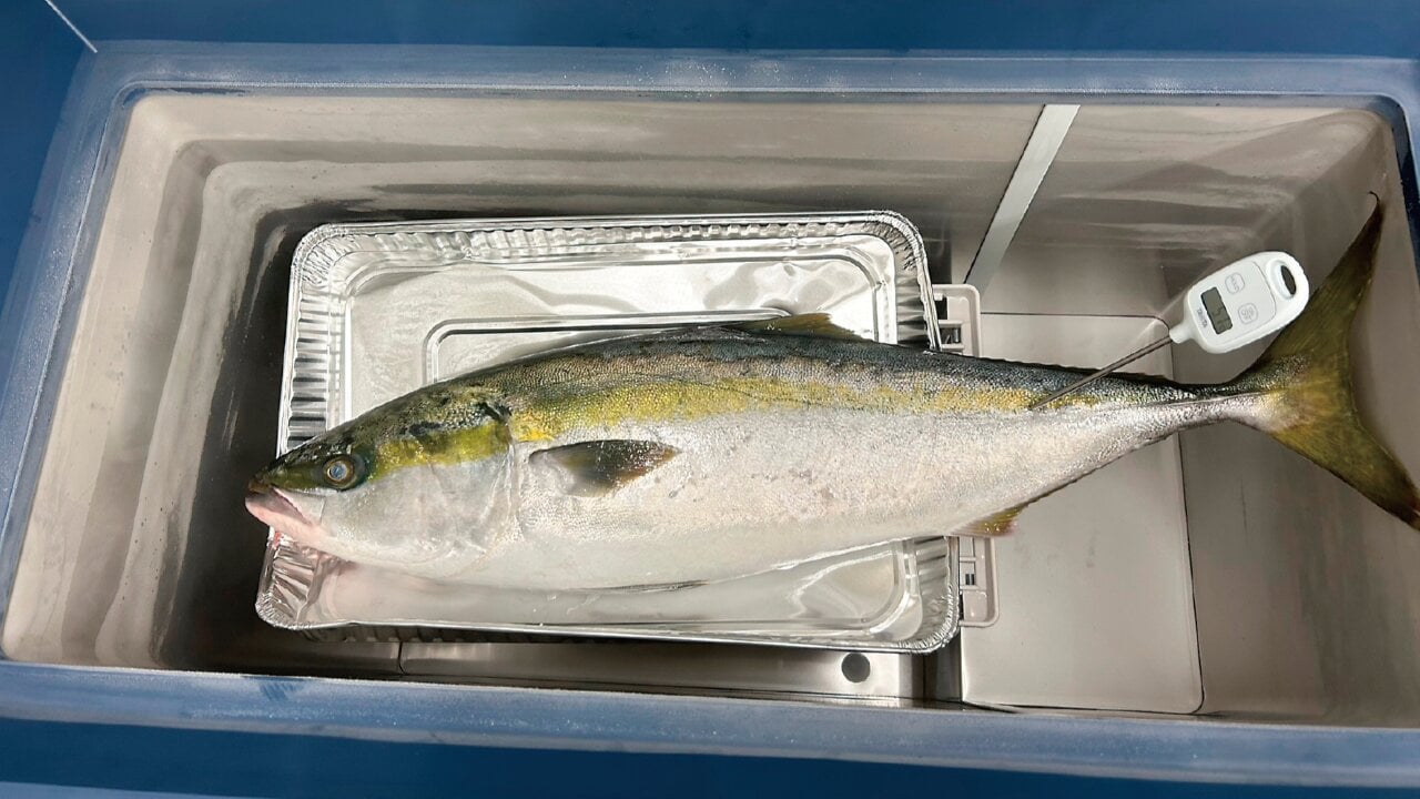 ハイアールの「マイナス50度冷凍庫」で釣果を美味しくストック
